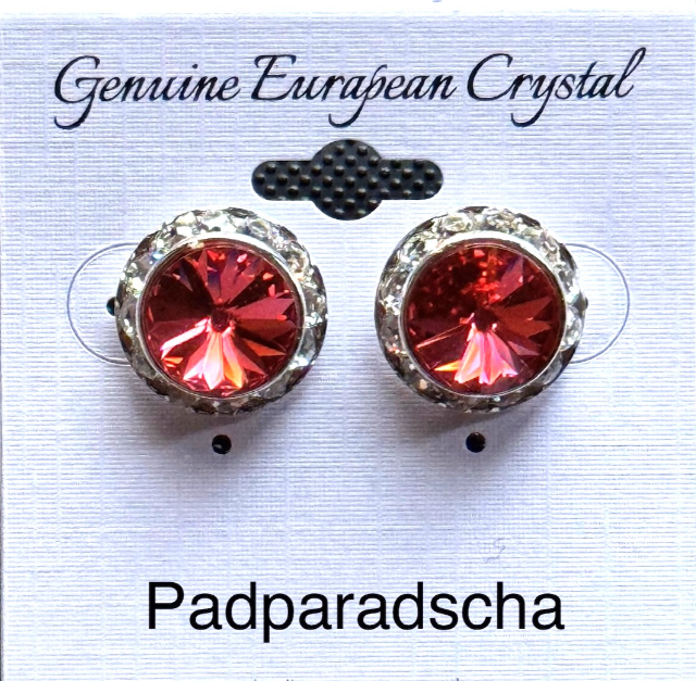 Large Colored Competiton Earrings (15MM)