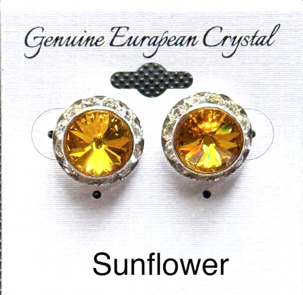 Large Colored Competiton Earrings (15MM)
