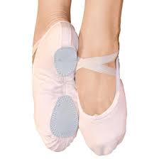 Fuzi Canvas Slipper