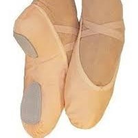 Fuzi Canvas Slipper